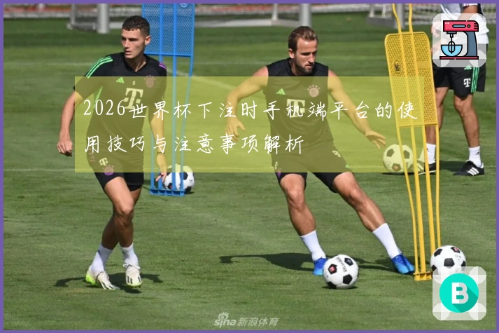 2026世界杯下注时手机端平台的使用技巧与注意事项解析